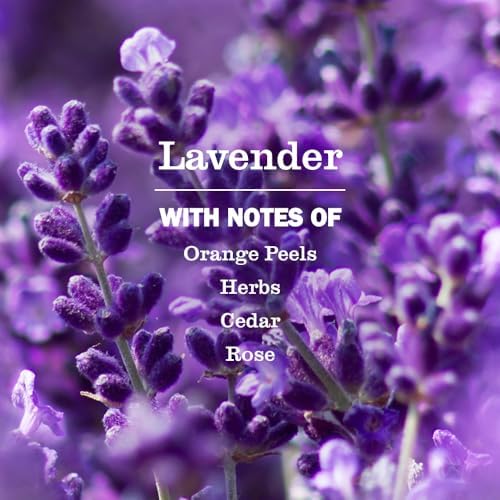MRS. MEYER'S CLEAN DAY Premium Scented Oil, Lavender, 2 Refills