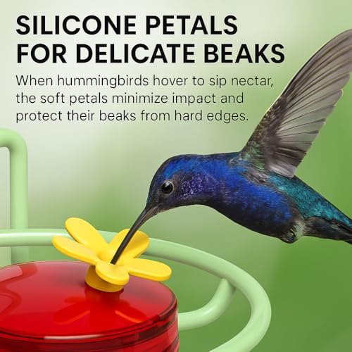 Dreamdrawer 2 Pack Window Hummingbird Feeder, Small Hummingbird Feeder for Outdoors with Strong Suction Cup - Metal Base & 6 Feeding Ports, Easy to Clean and Refill, Pink