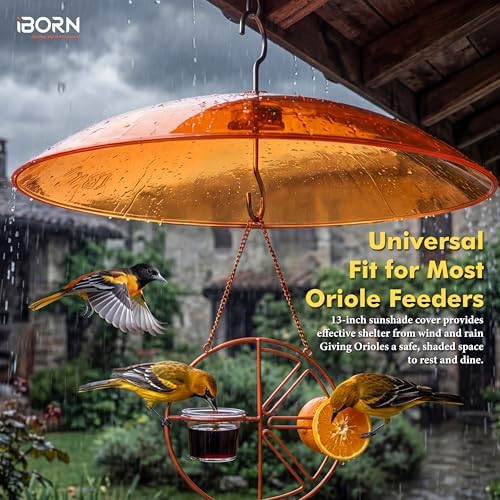 iBorn 13-inch Sunshade Cover for Oriole Feeder, Weather Guard Sun Shade Cover, for Hanging Oriole Nectar Feeder for Outdoors Rain Guard, Chew Proof Polycarbonate, Pack of 1, Orange