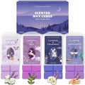 SCENTORINI Wax Melts, Winter Scented Wax Cubes, Lavender Scent for Sleep