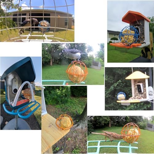 Suet Ball Holder Accessories for BirdBuddy Feeders in Metal