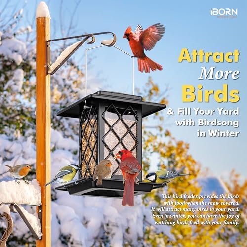 iBorn Bird Feeders for Outdoors, Metal Bird Feeder, Wild Bird Feeders for Cardinal, 2.3LBS Capacity,17.7cm Large Roof, Lantern Style, Black