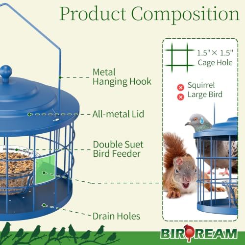 Birdream Metal Cage Bird Feeder for Outdoors Hanging with Glass Bowl, Blue