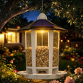 Birdream Solar Bird Feeders for Outdoors, Hanging Wild Bird Feeder with Solar LED Light, Assembly Required, 1-Min Easy Setup, Wild Seed Feeders for Cardinals Chickadees and Finches