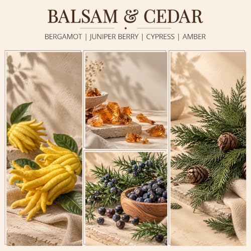 Balsam & Cedar Reed Diffuser for Home, 2 Pack 4 Fl Oz