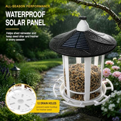 Birdream Solar Bird Feeders for Outdoors, Hanging Wild Bird Feeder with Solar LED Light, Assembly Required, 1-Min Easy Setup, Wild Seed Feeders for Cardinals Chickadees and Finches
