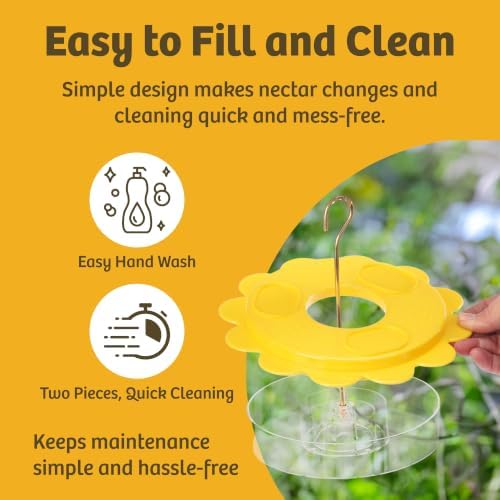Birds Choice Flutterby Butterfly Feeder with Brass Hanging Rod