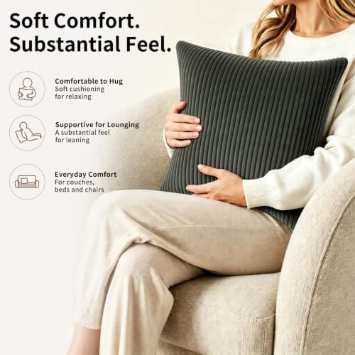 2 Pack 18 x 18 Decorative Throw Pillows with Insert Included