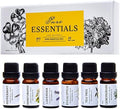 Essential Oils by Pure Essentials Aromatherapy Set - 6 x 10ML Oils for Diffusers, Home Care, Candle Making Scents, Fragrance, Humidifiers, Gifts - Peppermint, Tea Tree, Lavender, Eucalyptus, Orange