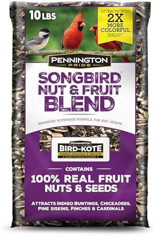 Pennington Songbird Nut & Fruit Blend Wild Bird Seed for Outside Feeders