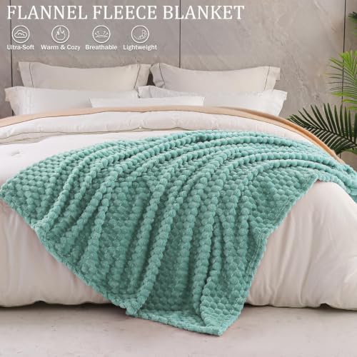 Exclusivo Mezcla Extra Large Soft Fleece Throw Blanket, 50x70 Inches 3D Clouds Stylish Jacquard Throw Blanket for Couch, Cozy Soft Lightweight for All Season, Celadon Blanket