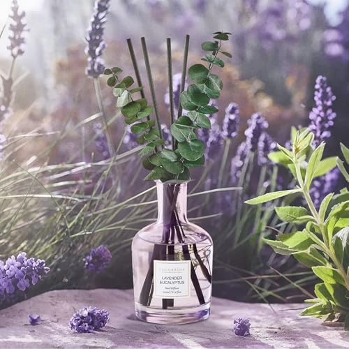 COCORRÍNA Lavender Eucalyptus Reed Diffuser, 6.76 oz
