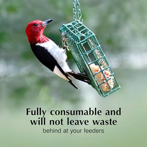 C&S Woodpecker Delight No Melt Suet Dough, Suet Cakes for Wild Birds