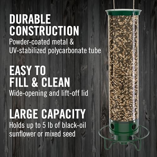 Droll Yankees Squirrel Proof Bird Feeder for Outdoors, 5 lb Seed Capacity