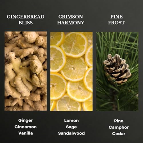 Scentia Winter Holiday Fragrance Oil Gift Set, 3X20 mL