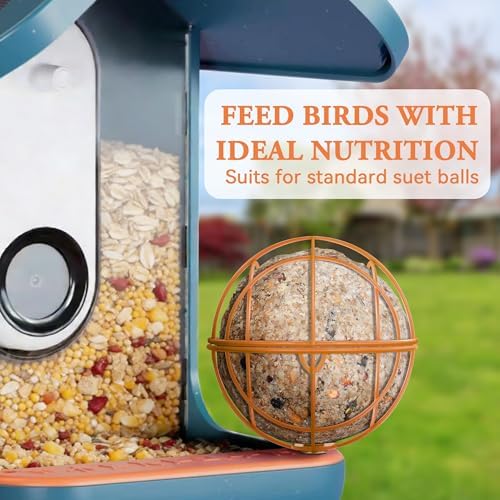 Suet Ball Holder Accessories for BirdBuddy Feeders in Metal