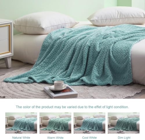 Exclusivo Mezcla Soft Fleece Bed Blanket Twin Size, 60”x80”, Celadon