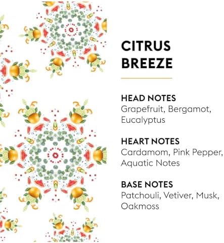 MAISON BERGER Car Diffuser Refill Set, Citrus Breeze
