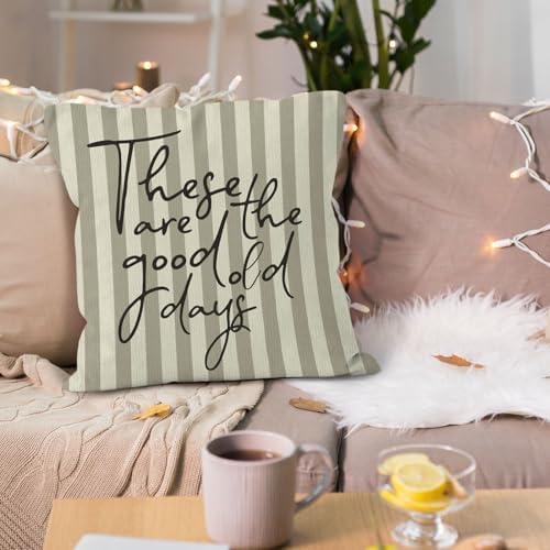 Inspirational These are the Good Old Days Throw Pillow Cover 18x18, Positive Motivational Decorative Pillow Covers for Home Living Room Bedroom, Neutral Striped Accent Pillows Cover Pillowcases