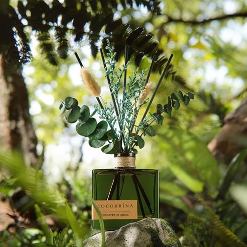 COCORRÍNA Dried Flowers Reed Diffuser, Eucalyptus Moss Scent 6.76 fl oz