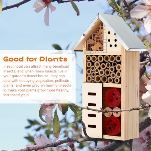 Maitys 3 Pcs Wooden Mason Insect Bee Hotel Butterfly House Natural Ladybug House Bug Hotel for Garden Outdoor Butterfly Ladybugs Live Bee Box Attracts Pollinators, 10 x 5.5 x 2.5 Inch