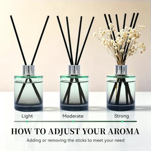 Brakula Reed Diffuser Set, Eucalyptus & Wild Mint Scent, 4.06 fl oz
