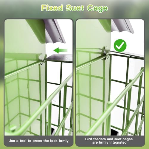 FlowaFoli Bird Feeders for Outdoors Hanging, Metal Bird Feeder with Double Suet Cage Cake, Large Capacity, Birdfeeders Sturdy & Weatherproof, Easy to Clean & Refill, Great for Attracting Wild Birds