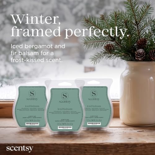 Scentsy Iced Balsam Wax Melts, 3 Pack, Paraffin, 7.8 Oz