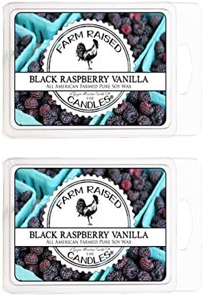 Black Raspberry Vanilla - USA Made Soy Wax Melts, 2 Pack, 6 oz
