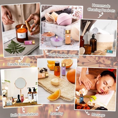 Fragrance Essential Oils Set - 14pcs, Aromatherapy Oils for Skin, Diffusers, Home Care, Humidifier Laundry, Candle Making - Tea Tree, Sandalwood, Lavender, Vanilla, Eucalyptus and More (5mL)