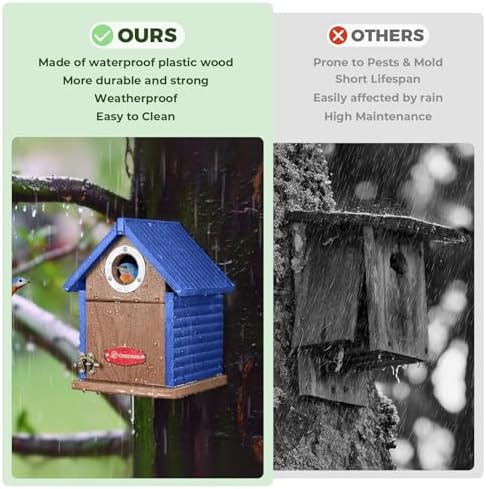 Kingsyard Bluebird House with Predator Guard, Recycled Poly Lumber
