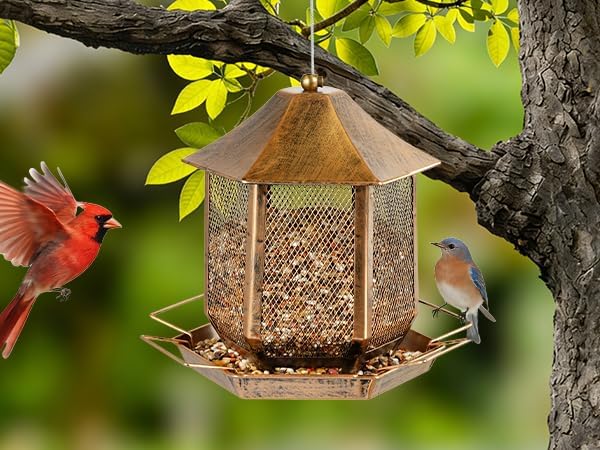 Bird Feeder 3.5LB Outside Metal Bird Feeders for Outdoor Hanging