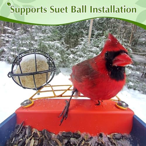 Metal Perch Extender & Suet Ball Holder Compatible with Bird Buddy Feeder