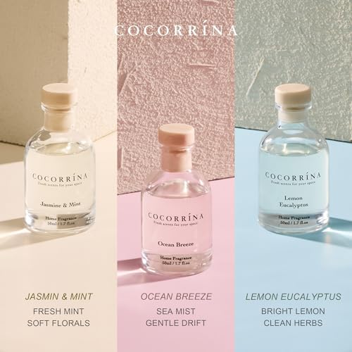 COCORRÍNA Reed Diffuser Set of 3 with Dried Eucalyptus for Home & Office