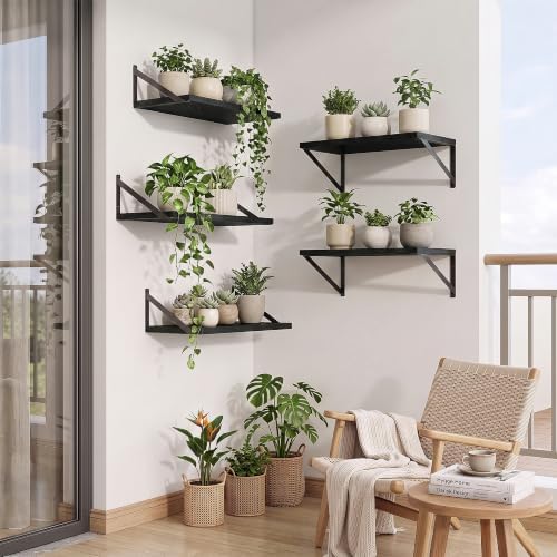 Axeman Deep Floating Shelves, 18'' x 10'' Black Wall Shelves Set of 2