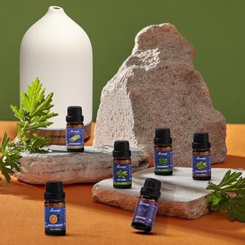 Gooamp Essential Oils Set-Top 6 Organic Blends Scents for Diffuser for Home