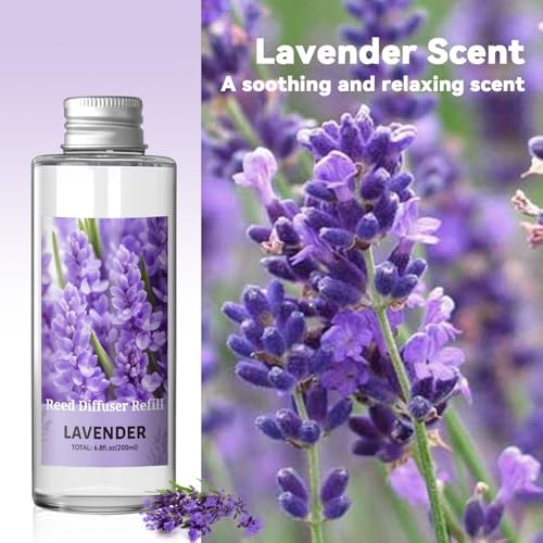 SCENTORINI Lavender Diffuser Reed Diffuser Oil Refill, 6.76 Fl Oz & 6 Sticks