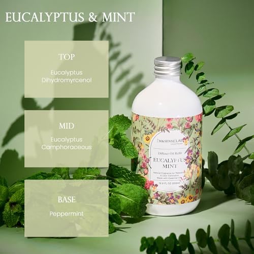 M&SENSE Reed Diffuser Set, Eucalyptus & Mint, 17oz Natural Essential Oil