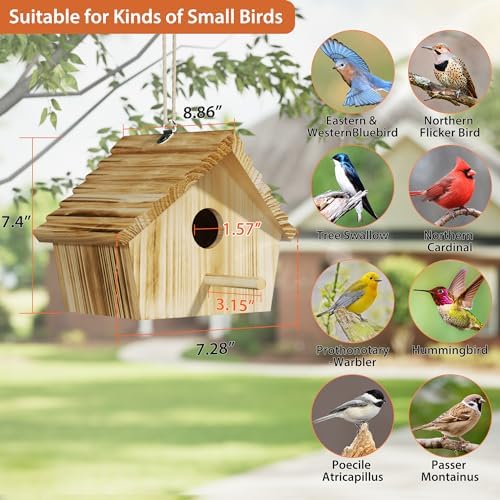 Auslar Bird Houses for Outside, Hanging Wooden Bluebird House for Outdoors