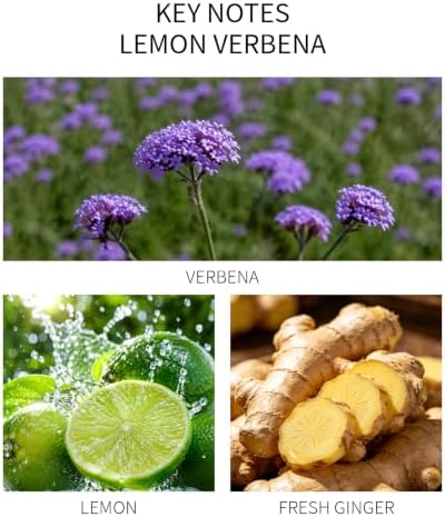 Lemon Verbena Reed Diffuser, 5.07 fl oz Fruity & Grass Aroma Oil