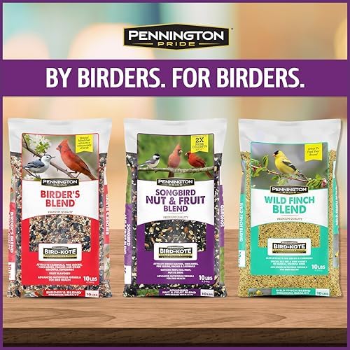 Pennington Songbird Nut & Fruit Blend Wild Bird Seed for Outside Feeders