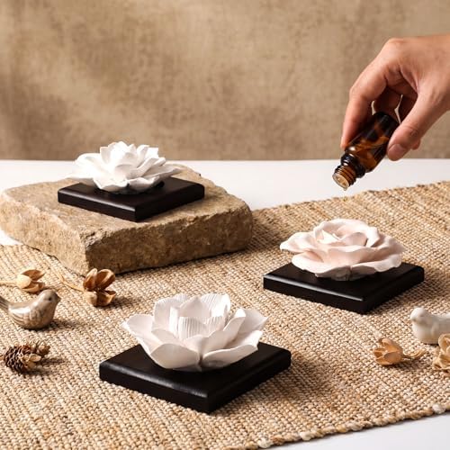3 Pcs Passive Essential Oil Diffuser Stone Set, Black