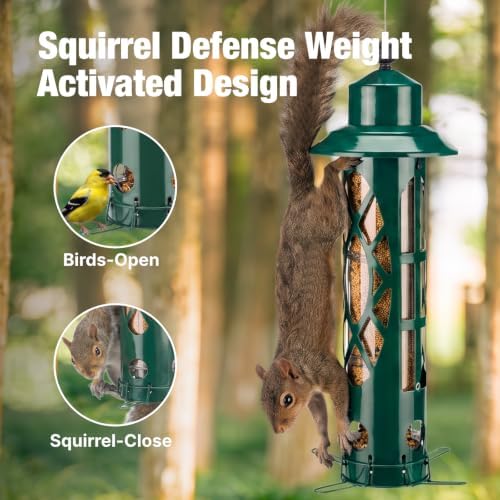 Veehoo Squirrel Proof Bird Feeders for Outdoors Hanging, Holds Up to 3.5 lb