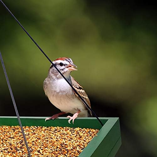 MIXXIDEA Bird Feeder Hanging Tray, Bird Feeders for Outdoors, Wooden Seed Tray Platform Mesh Seed Platform for Garden Yard Outside Decoration Attracting for Wild Birds (Green-1pk)