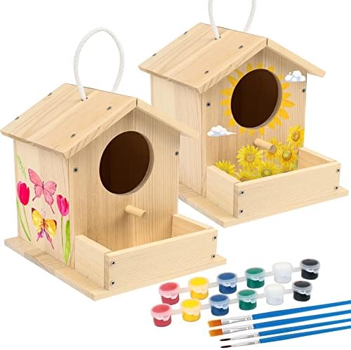 LotFancy Bird House Kit, 2 Pack, DIY Wooden Birdhouse Kits, Arts and Crafts Painting Kit for Kids, Build and Paint, Including Paints & Brushes