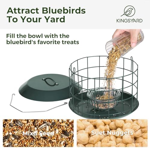 Kingsyard Bluebird Feeders for Outdoors Hanging