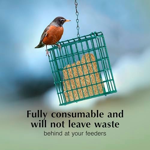 C&S Berry Delight No Melt Suet Dough, Suet Cakes for Wild Birds
