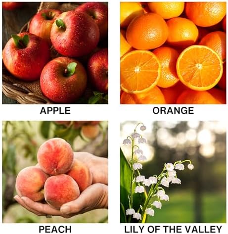 Lush Orchard Scent Aromatherapy Diffuser – Reed Diffusers for Home with Apple, Orange – Long-Lasting Essential Oil Scent – 50ml