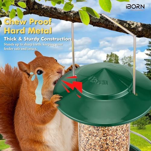 iBorn Hanging Bird Feeder Metal Chew Resistant, Green,1.32 LB