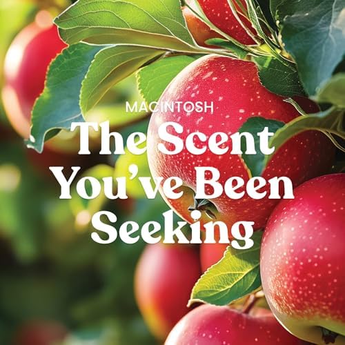 Yankee Candle Macintosh, Fall Scented Candle, 22oz Large Jar with up to 150 Hour Burn Time (Pack of 4)